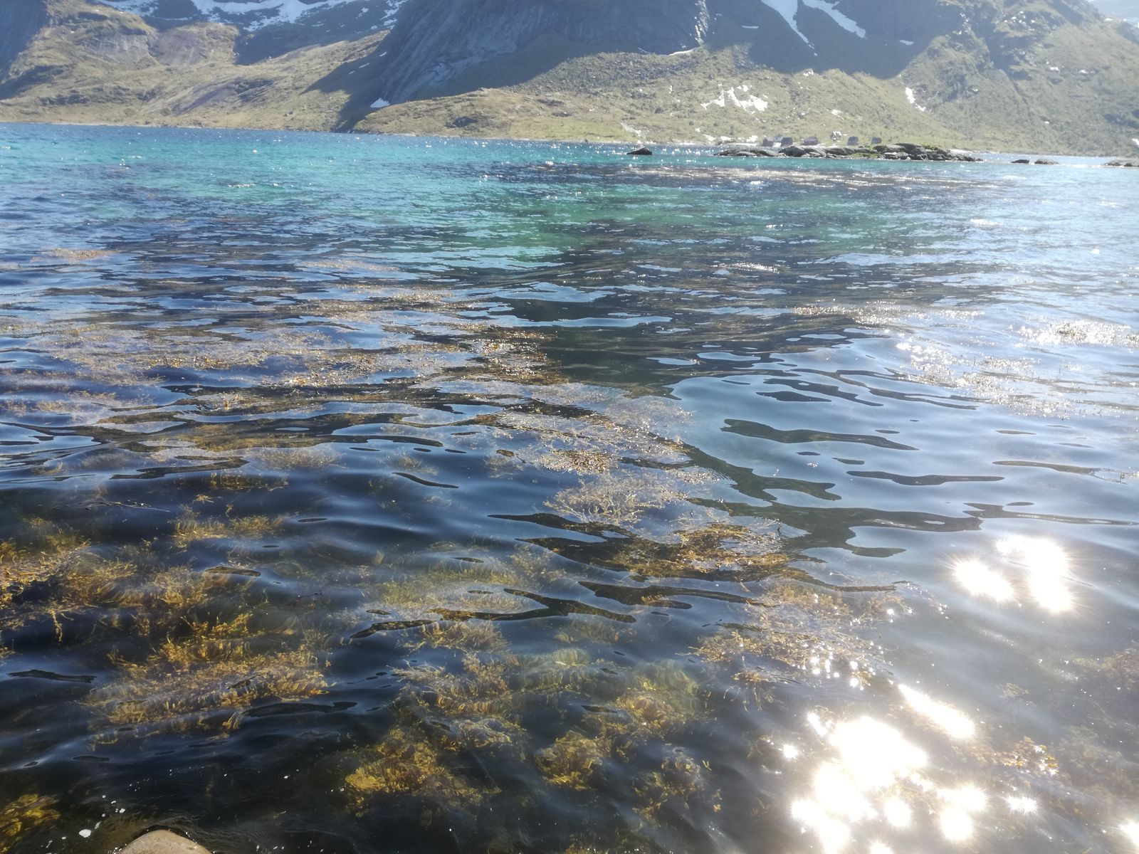 20190605_135806.jpg