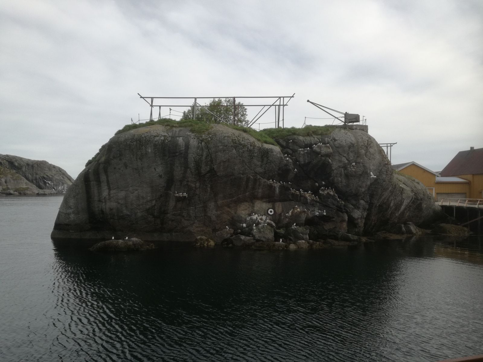 IMG_20190605_172550.jpg