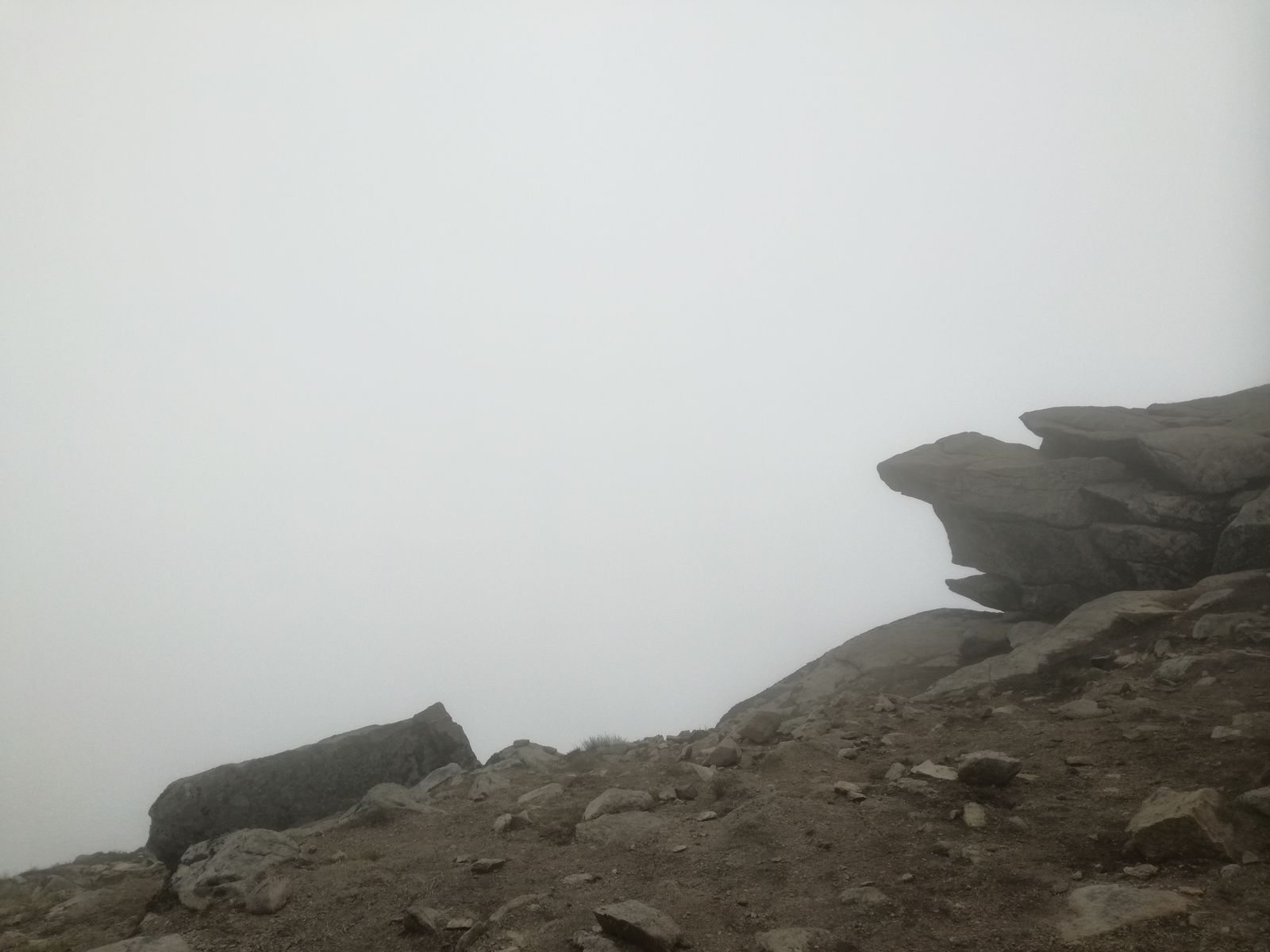 IMG_20190606_132113.jpg