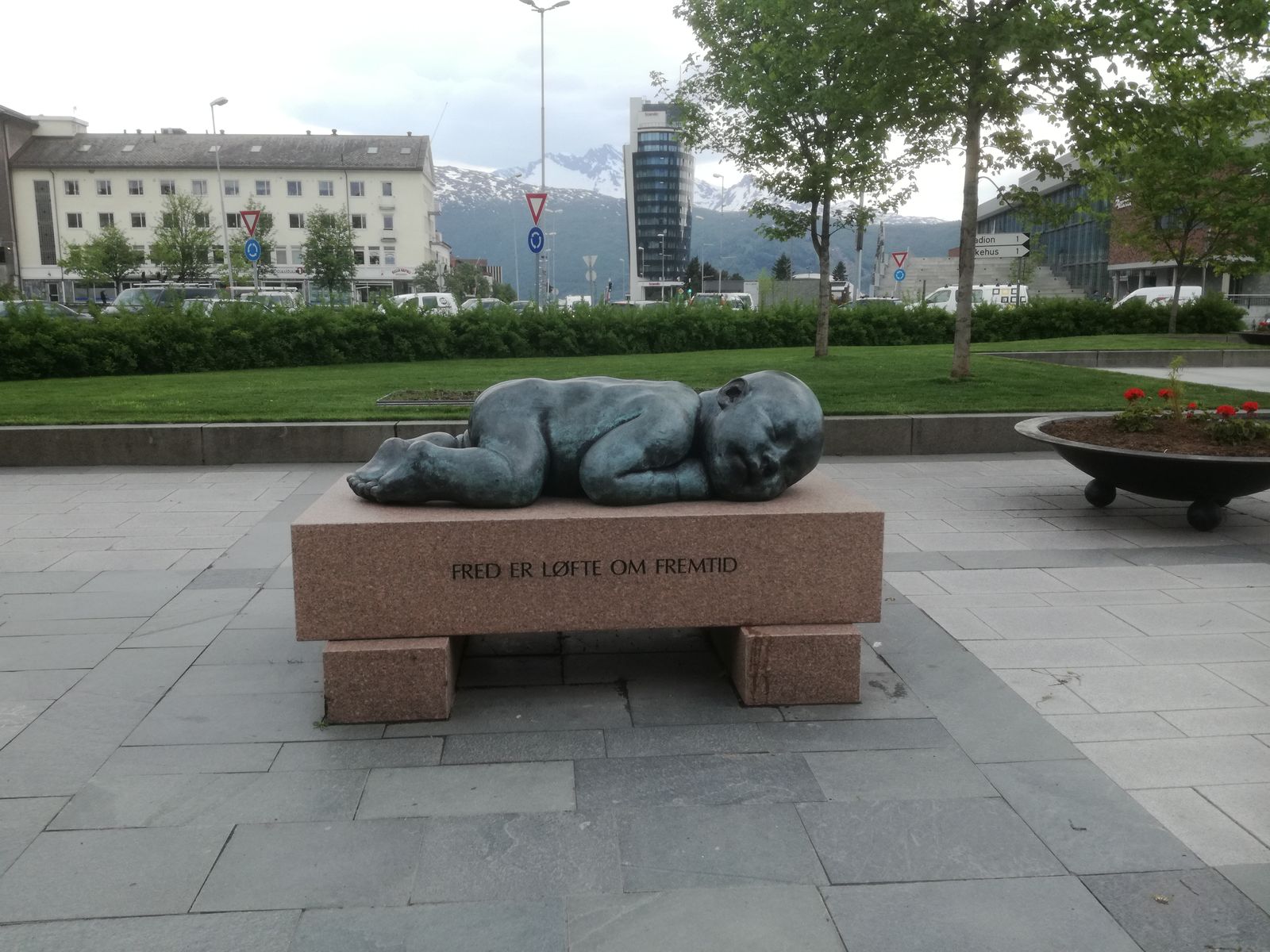 IMG_20190607_150333.jpg