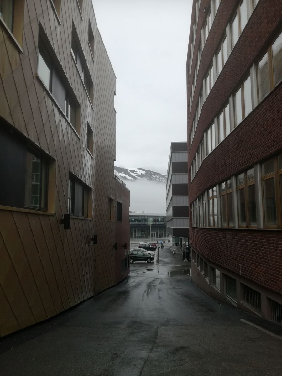 IMG_20190608_133437.jpg
