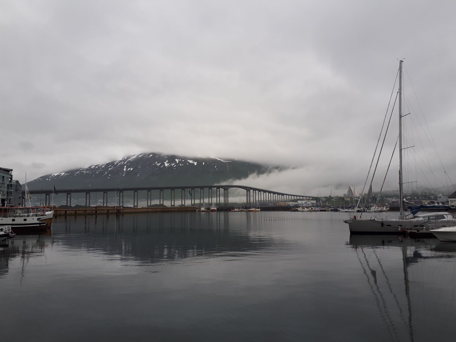 IMG_20190608_135644.jpg