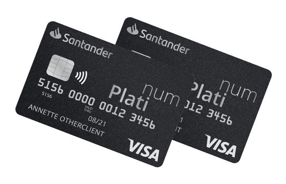 visa_platinium-560x360.png