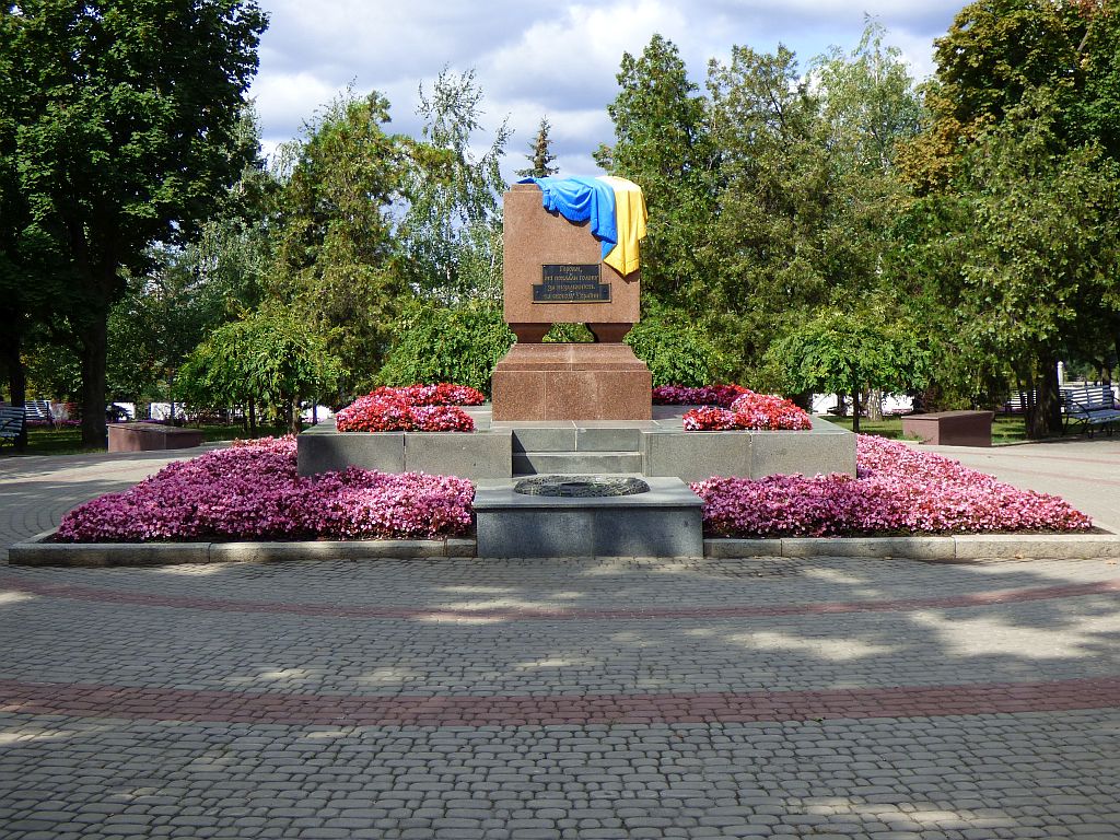 6.jpg