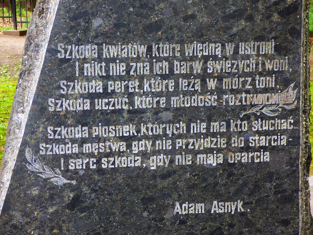 78.jpg