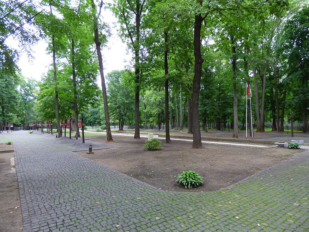 79.jpg