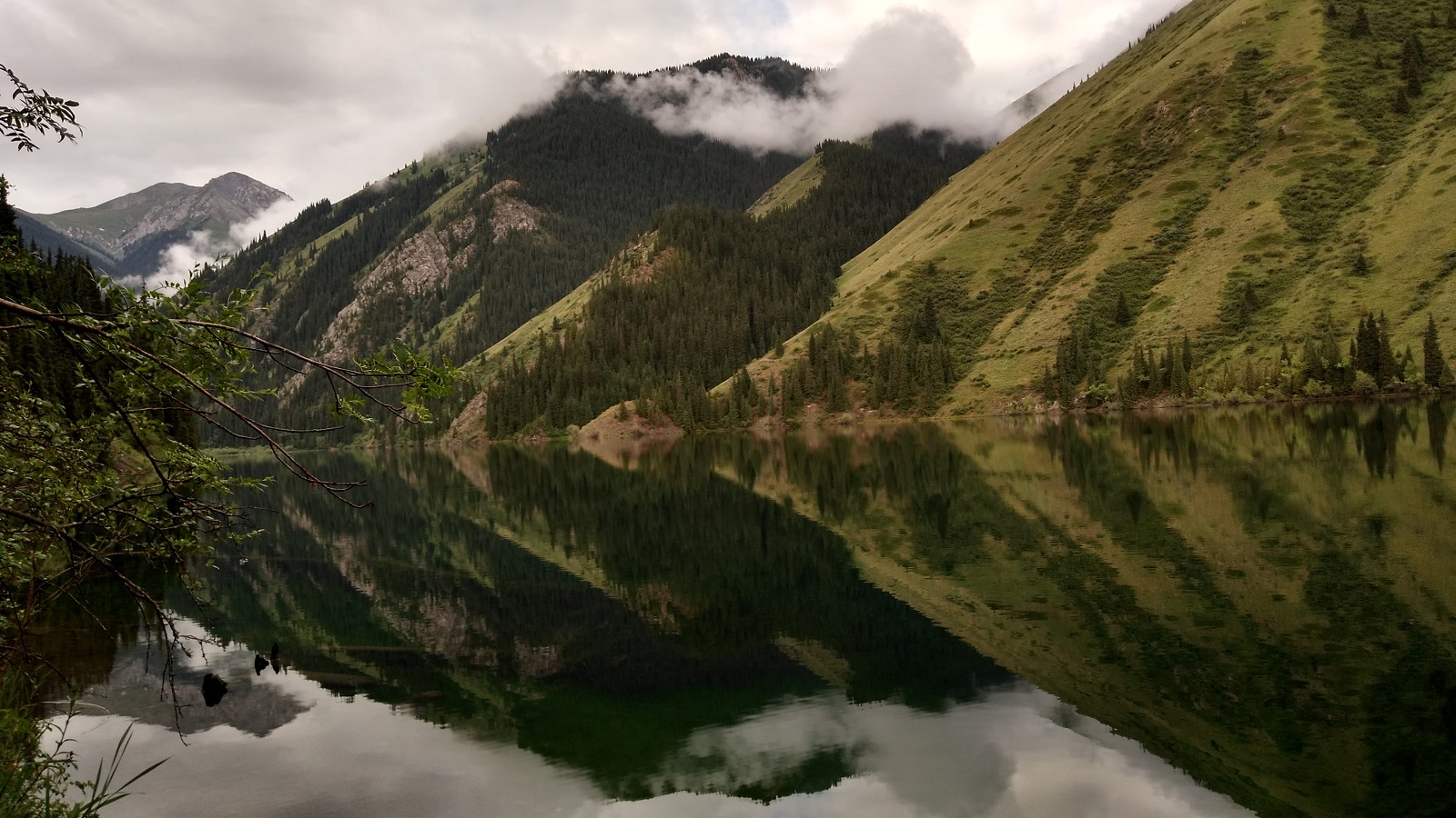 IMG_20190704_090157401_HDR.jpg