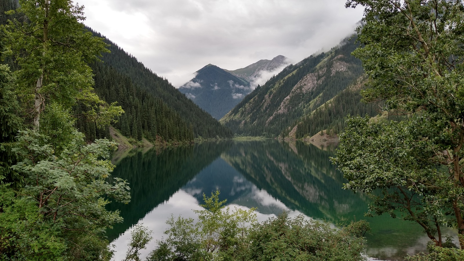 IMG_20190704_085811008_HDR.jpg