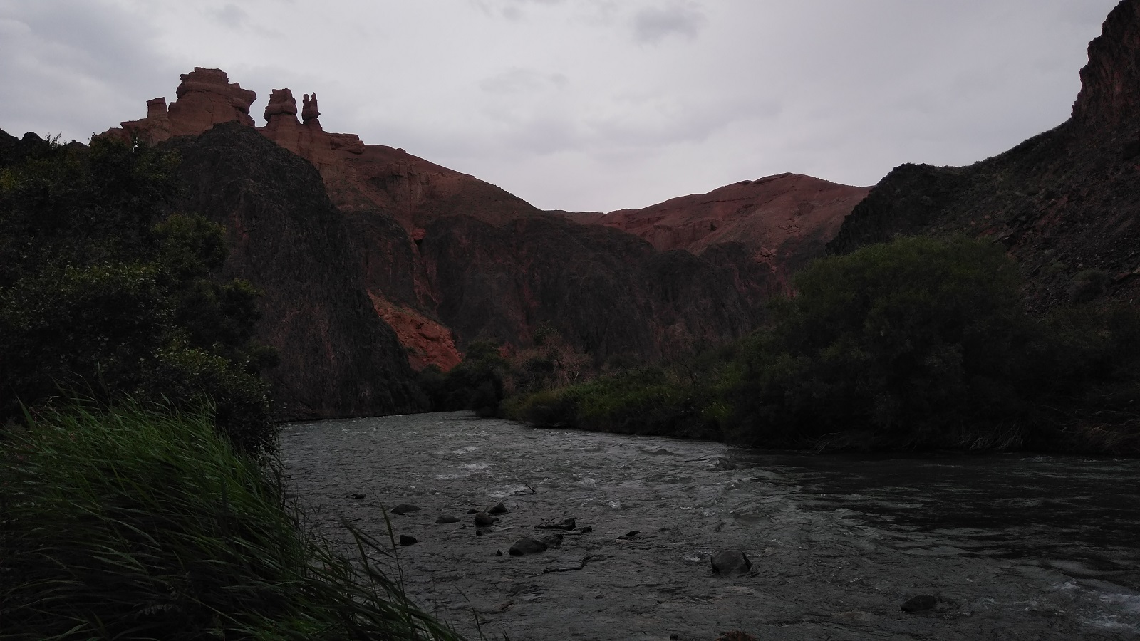 IMG_20190703_174208180.jpg