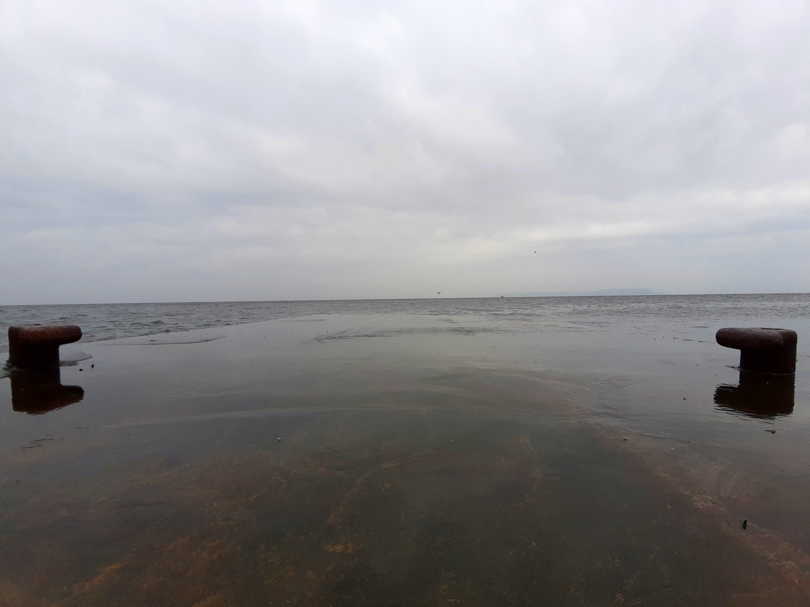 20190810_192604.jpg