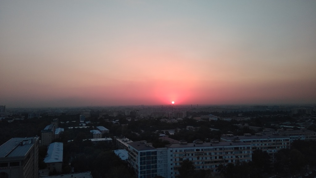 IMG_20190712_195311735.jpg