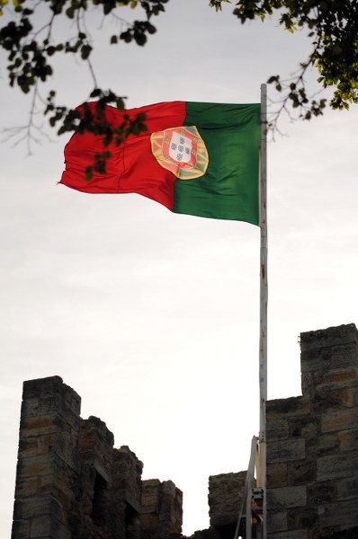 3_398x600.JPG