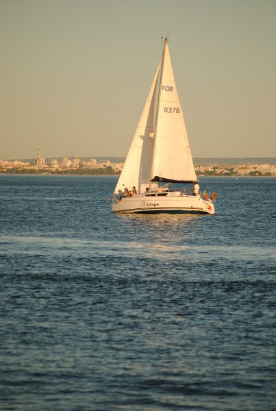 72_403x600.JPG