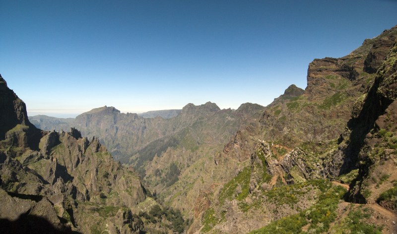 92_800x472.jpg