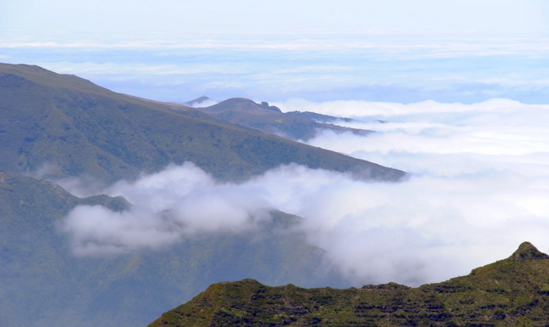 96_800x477.JPG