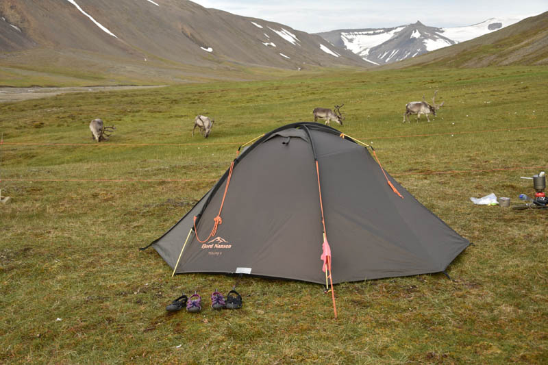 Spitsbergen.jpg