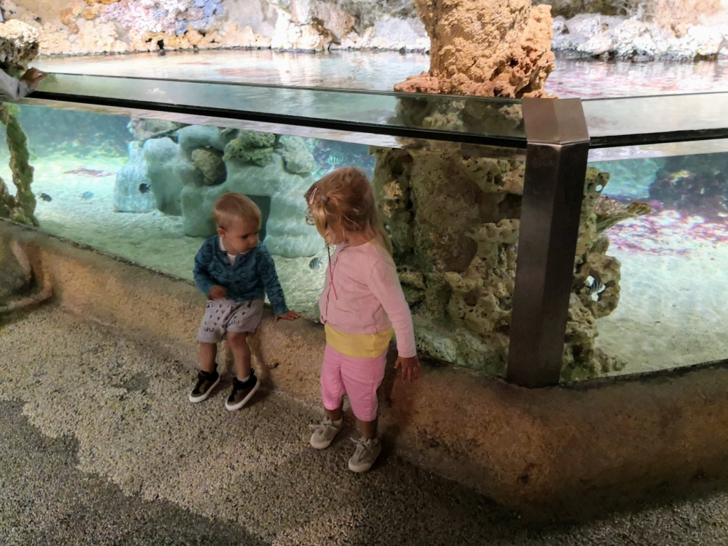 IMG_20190817_175954a.jpg