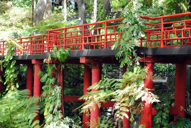 142_800x537.JPG