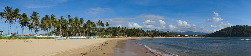DSC02212p-Resizer-800.jpg