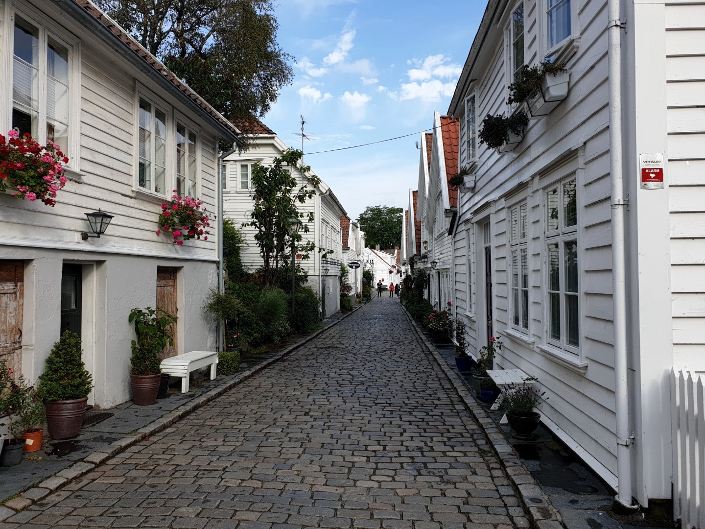 20190831_100516 (Duży) (Niestandardowy).jpg