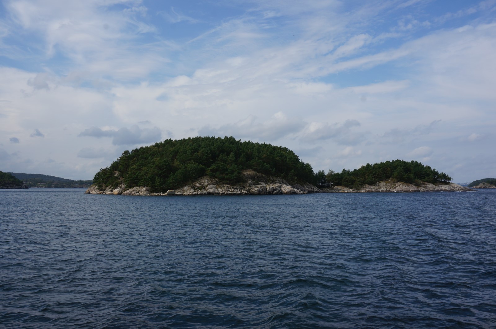 DSC06950 f4f.JPG