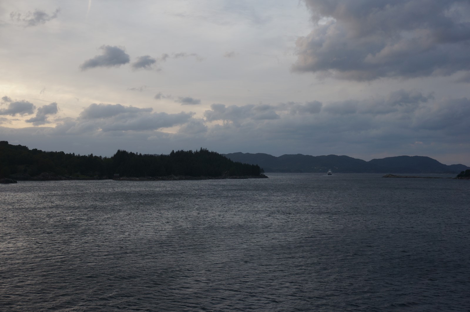 DSC07067 f4f.JPG