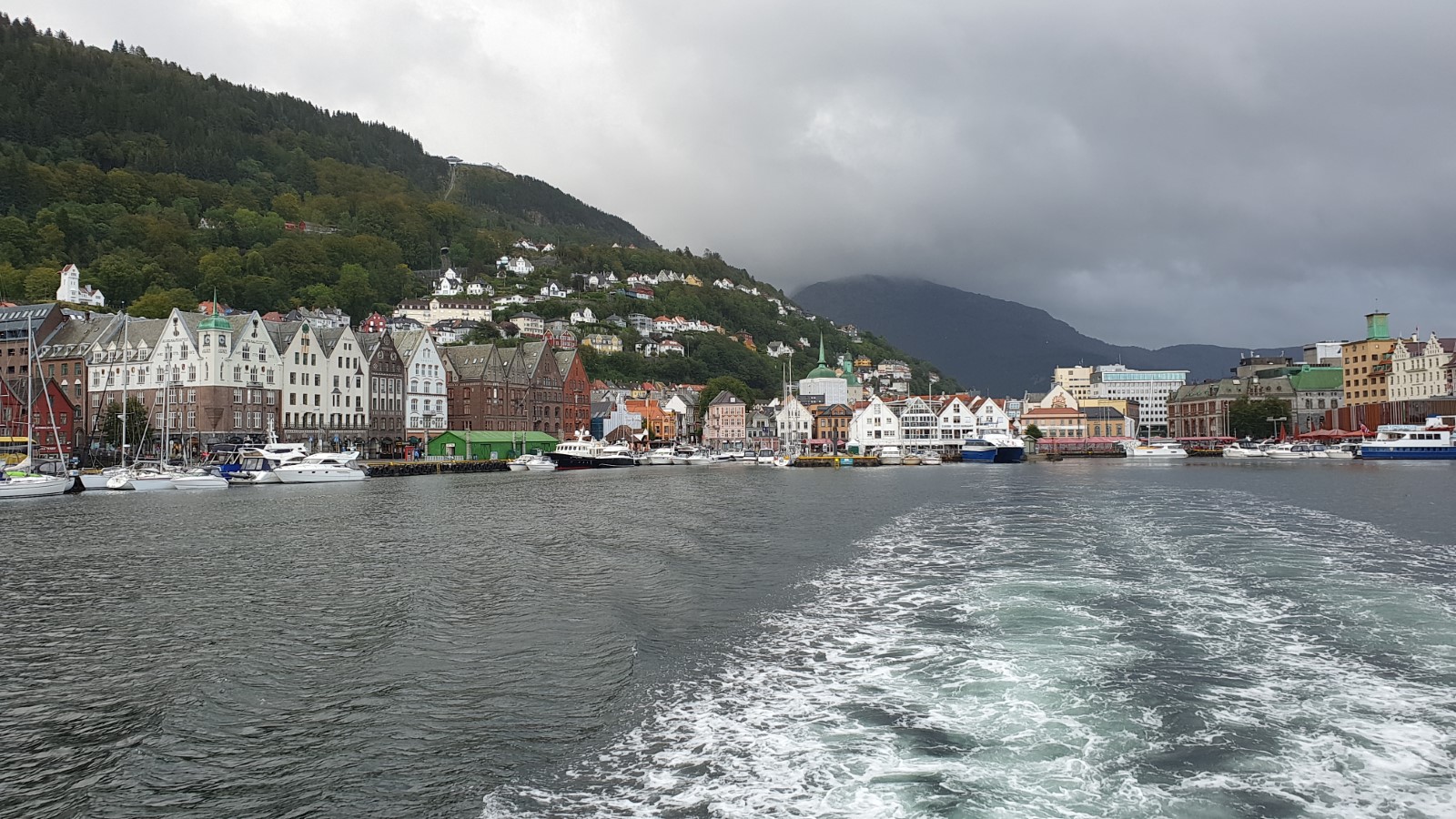 20190901_100228.jpg