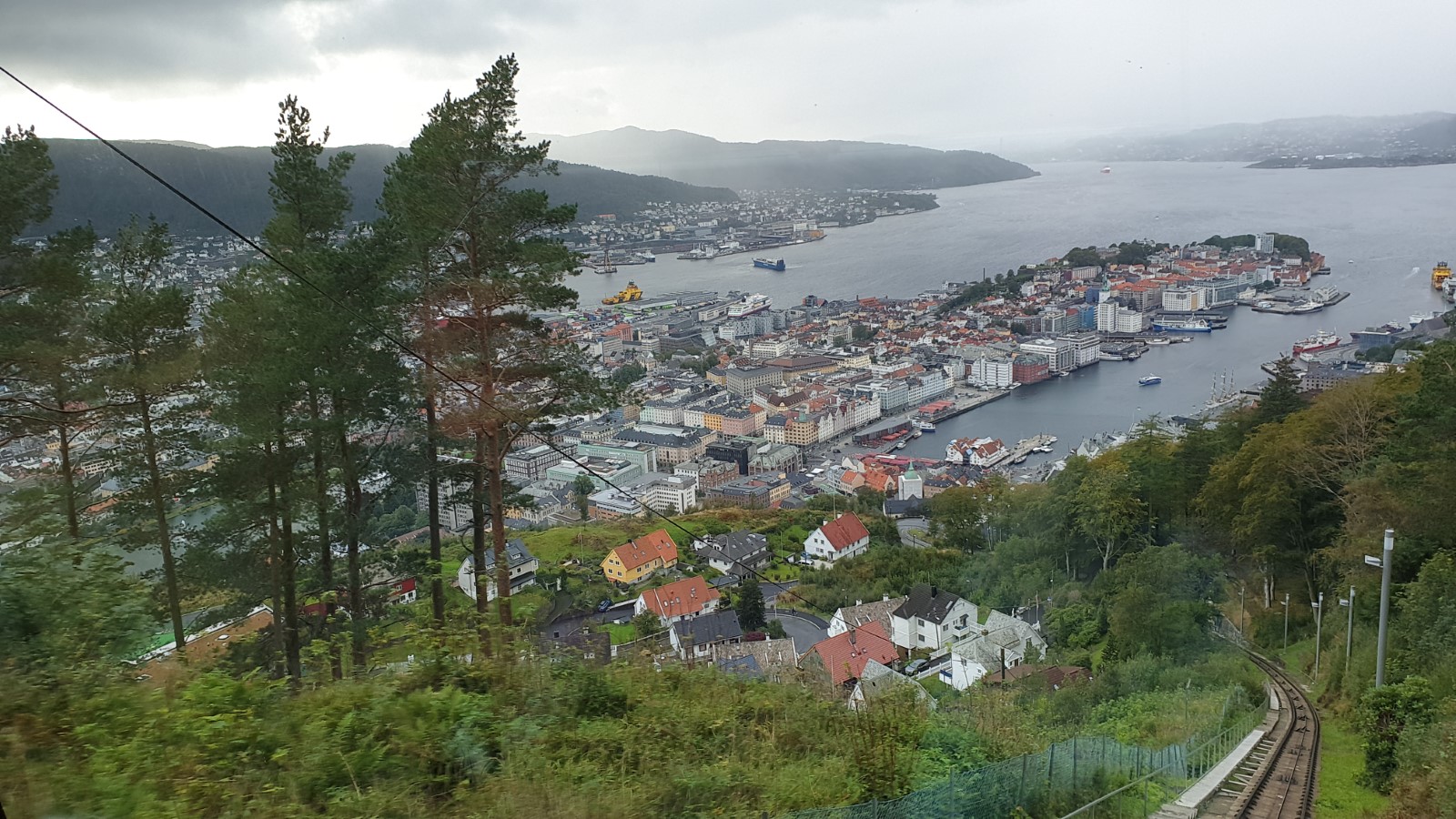20190901_175514.jpg