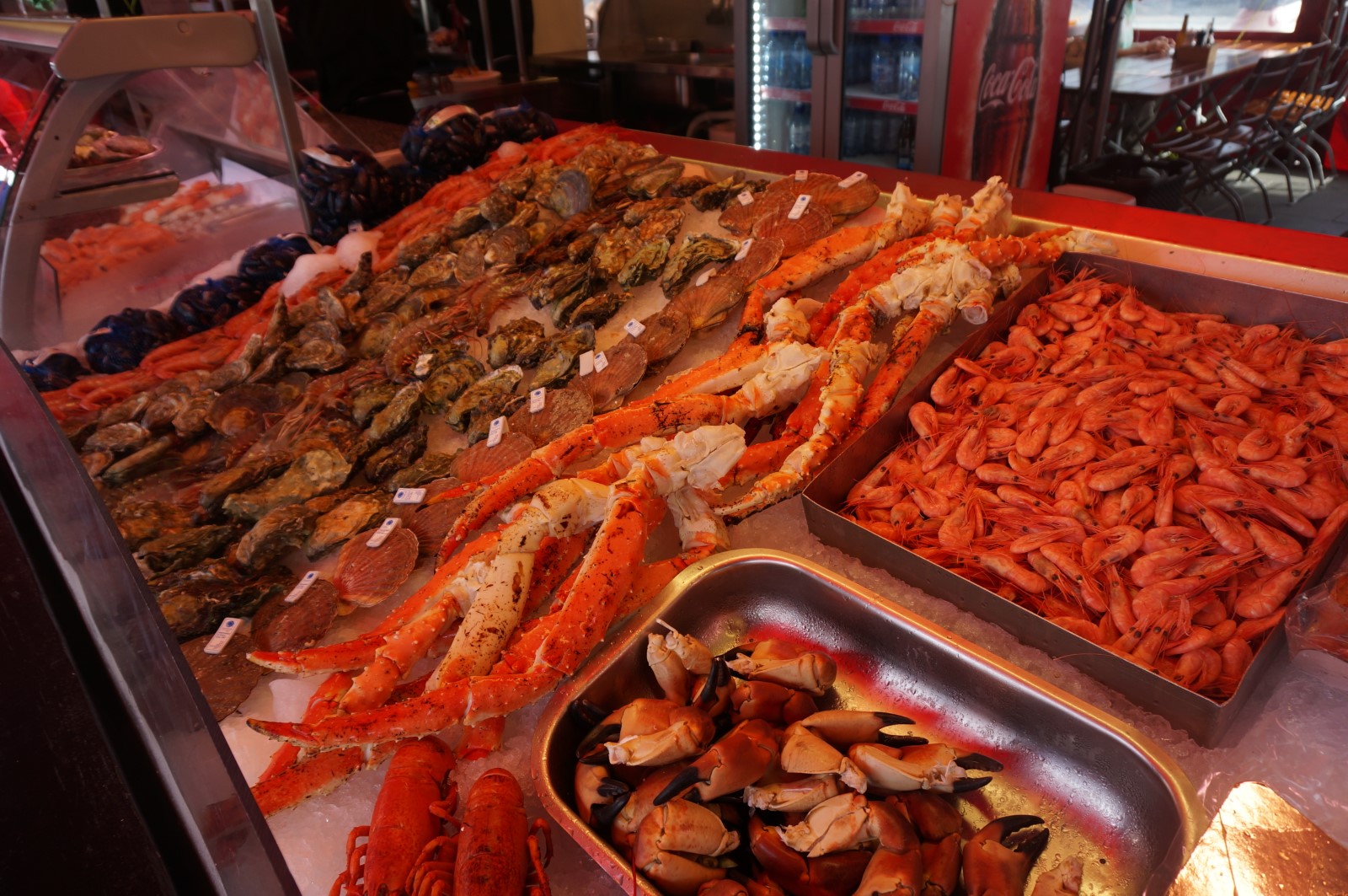 DSC07186.JPG