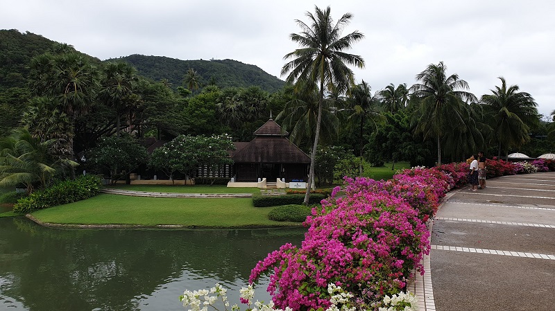 20190816_100219.jpg