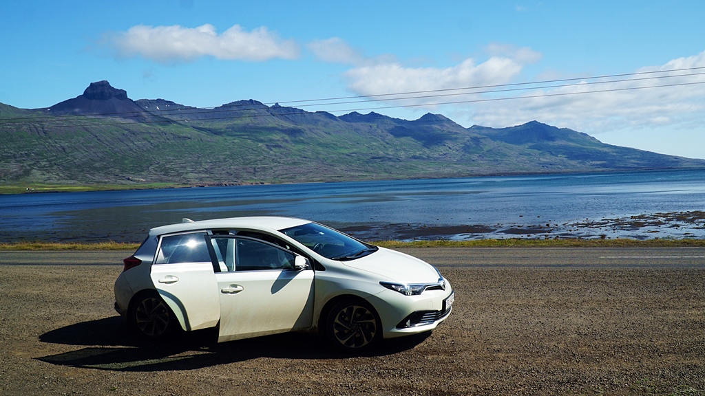 Auris.JPG