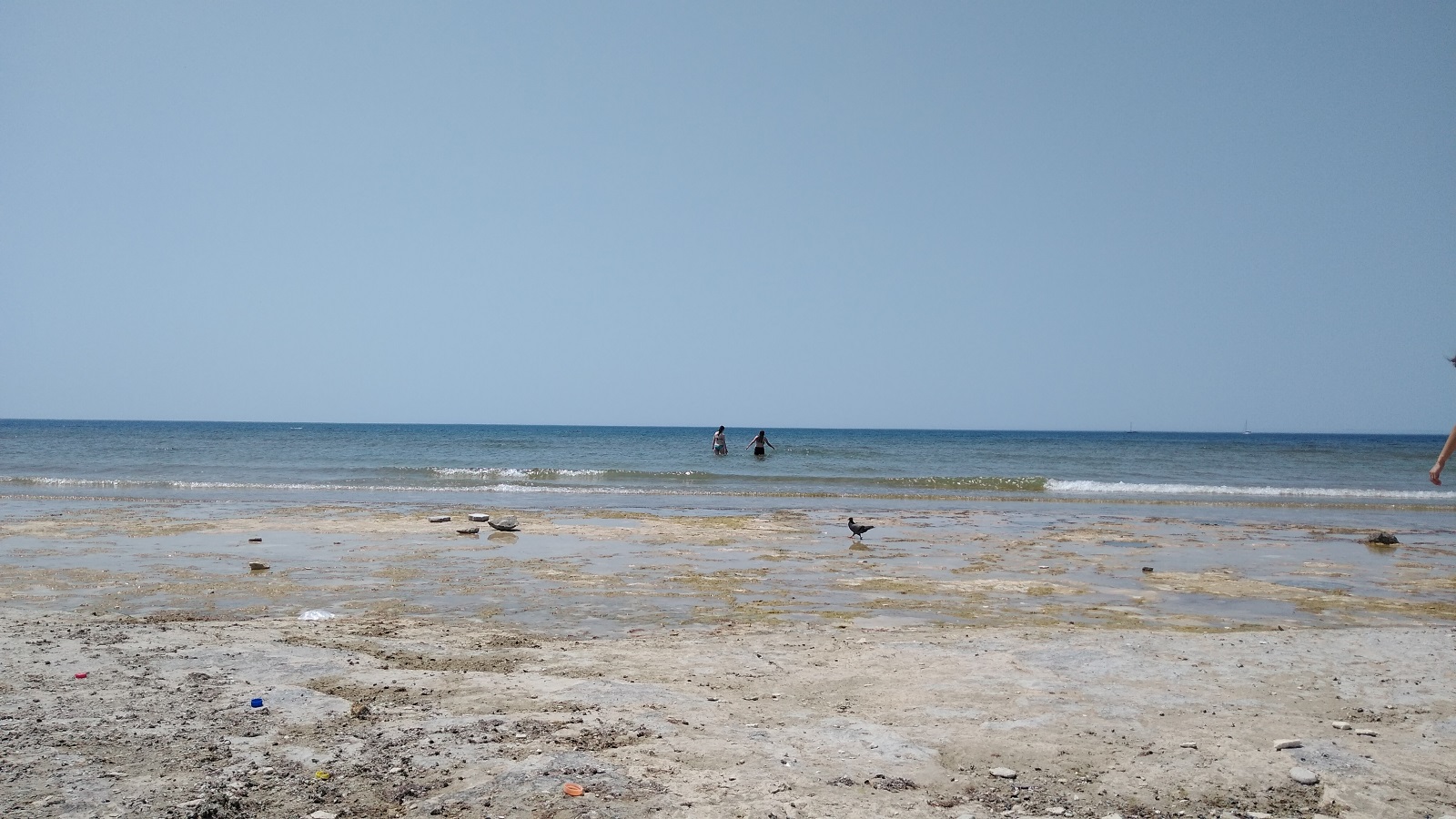 IMG_20190720_145017950.jpg