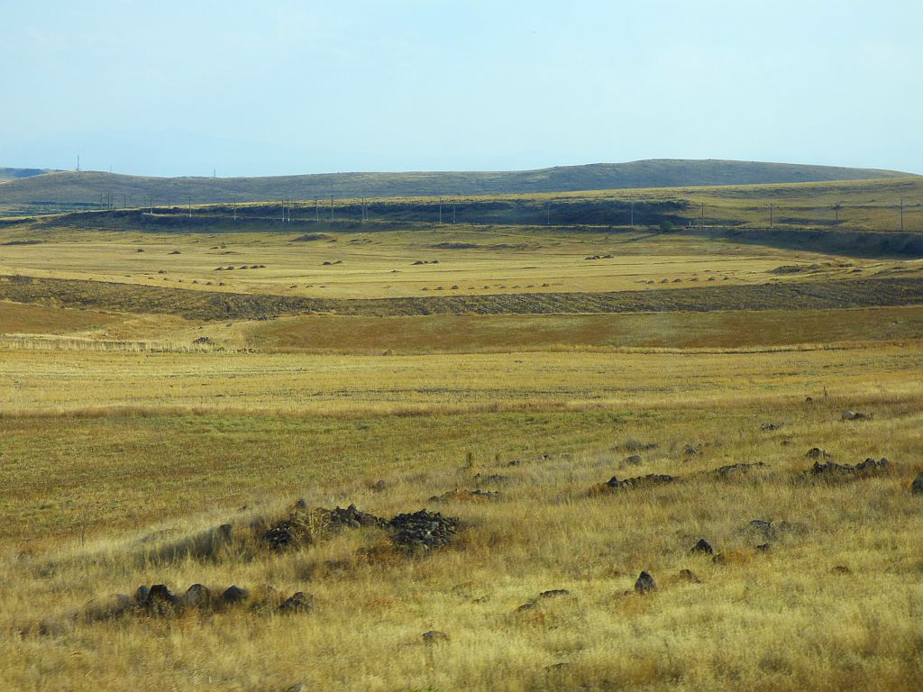 167.jpg