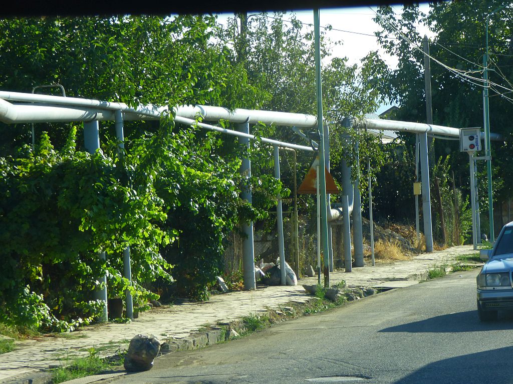 223.jpg