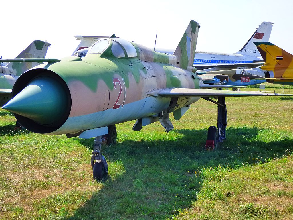 81.jpg