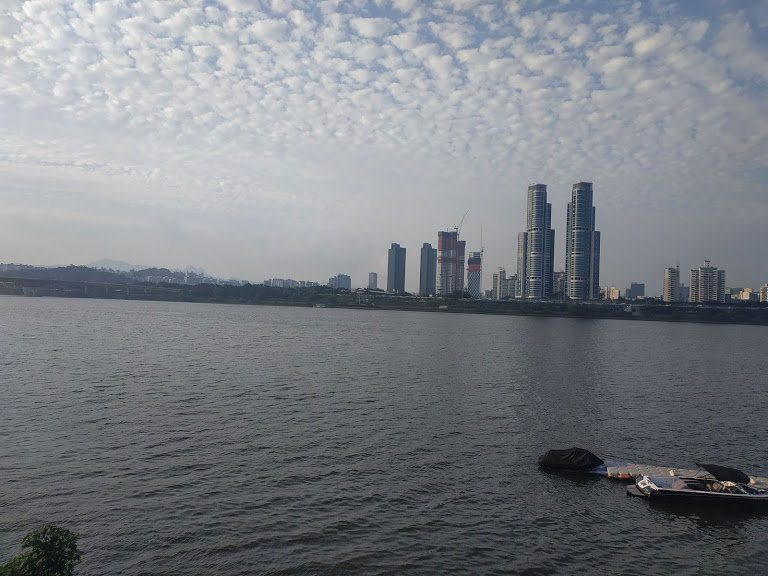 IMG_20190822_174950.jpg