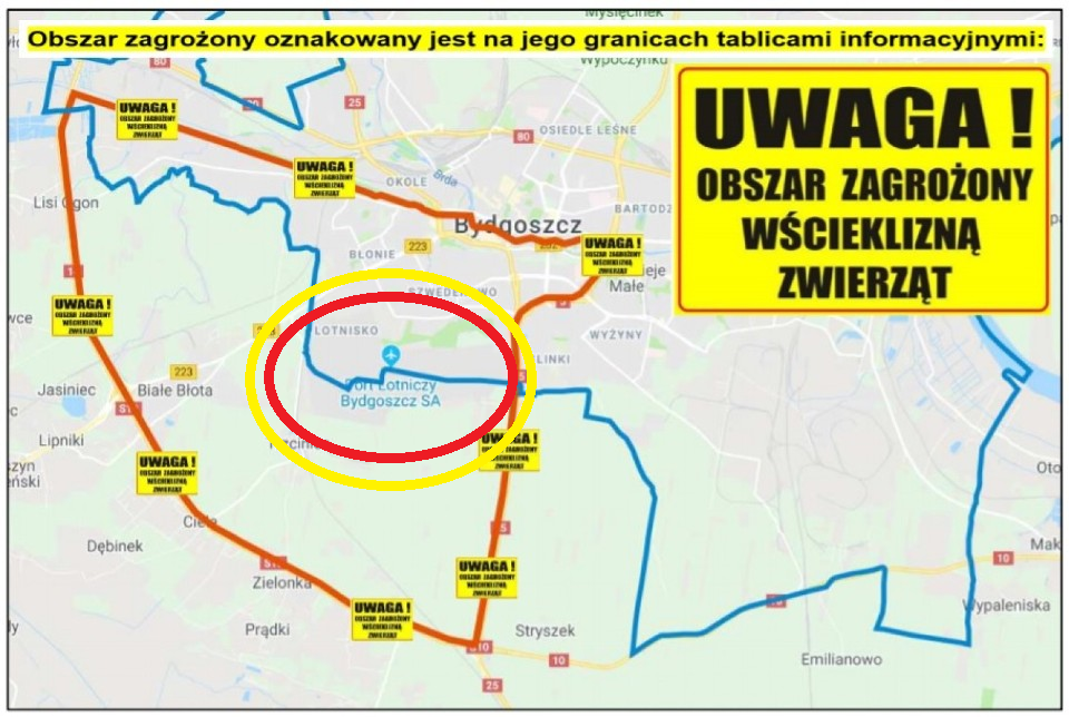 skazenie.png