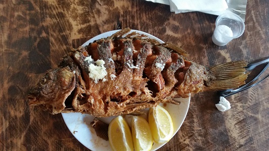 20190910_151344.jpg