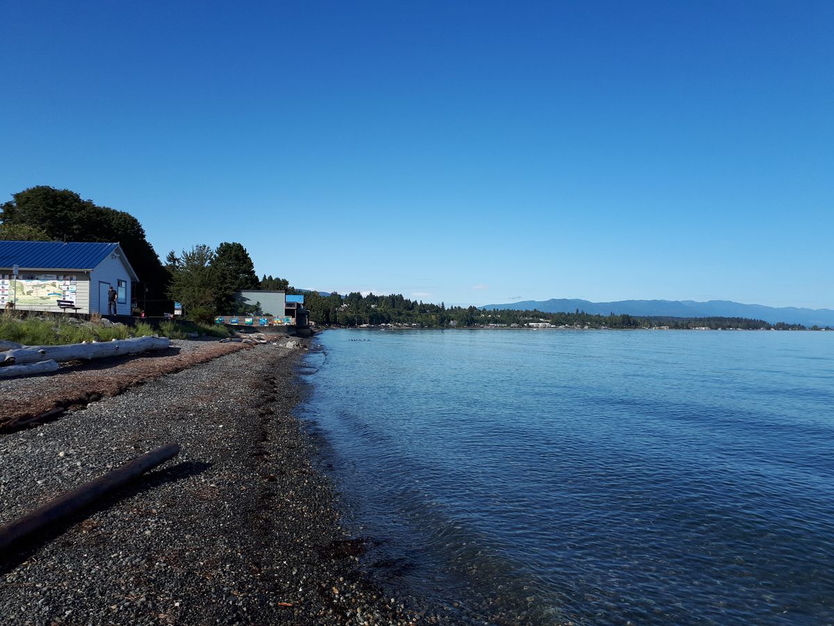 20190903_095307.jpg