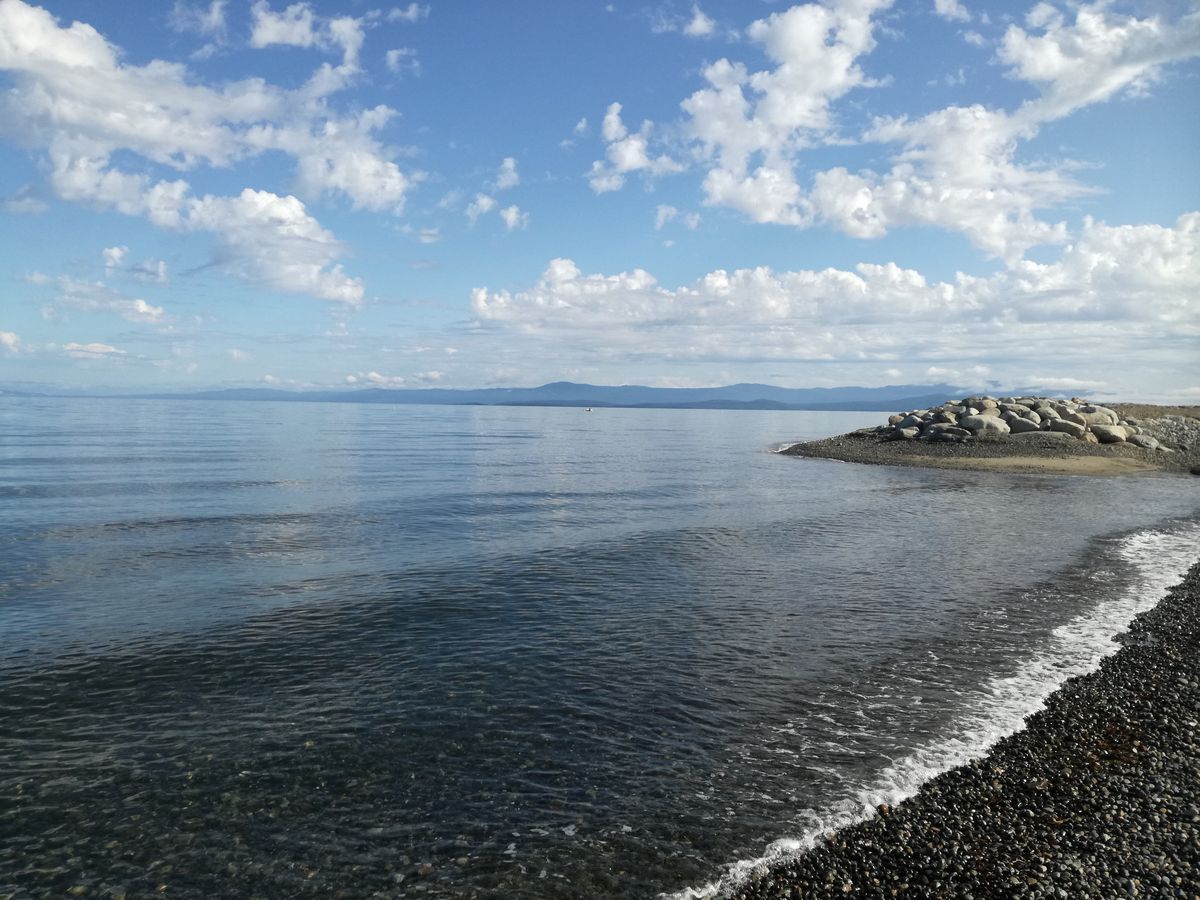 20190903_095418.jpg