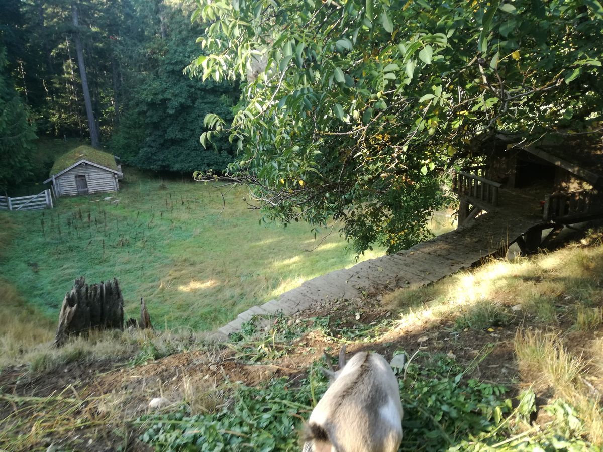 20190903_090653.jpg
