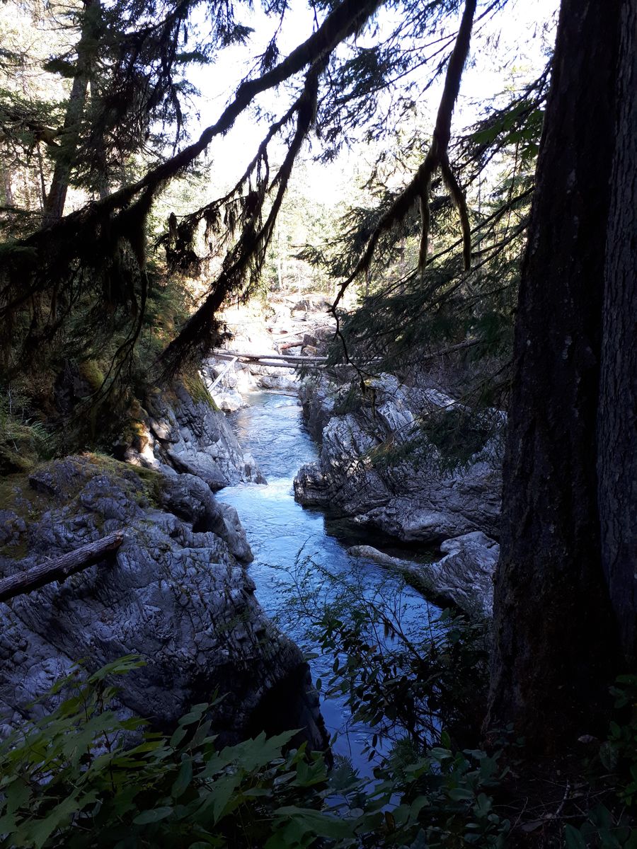 20190903_103933.jpg