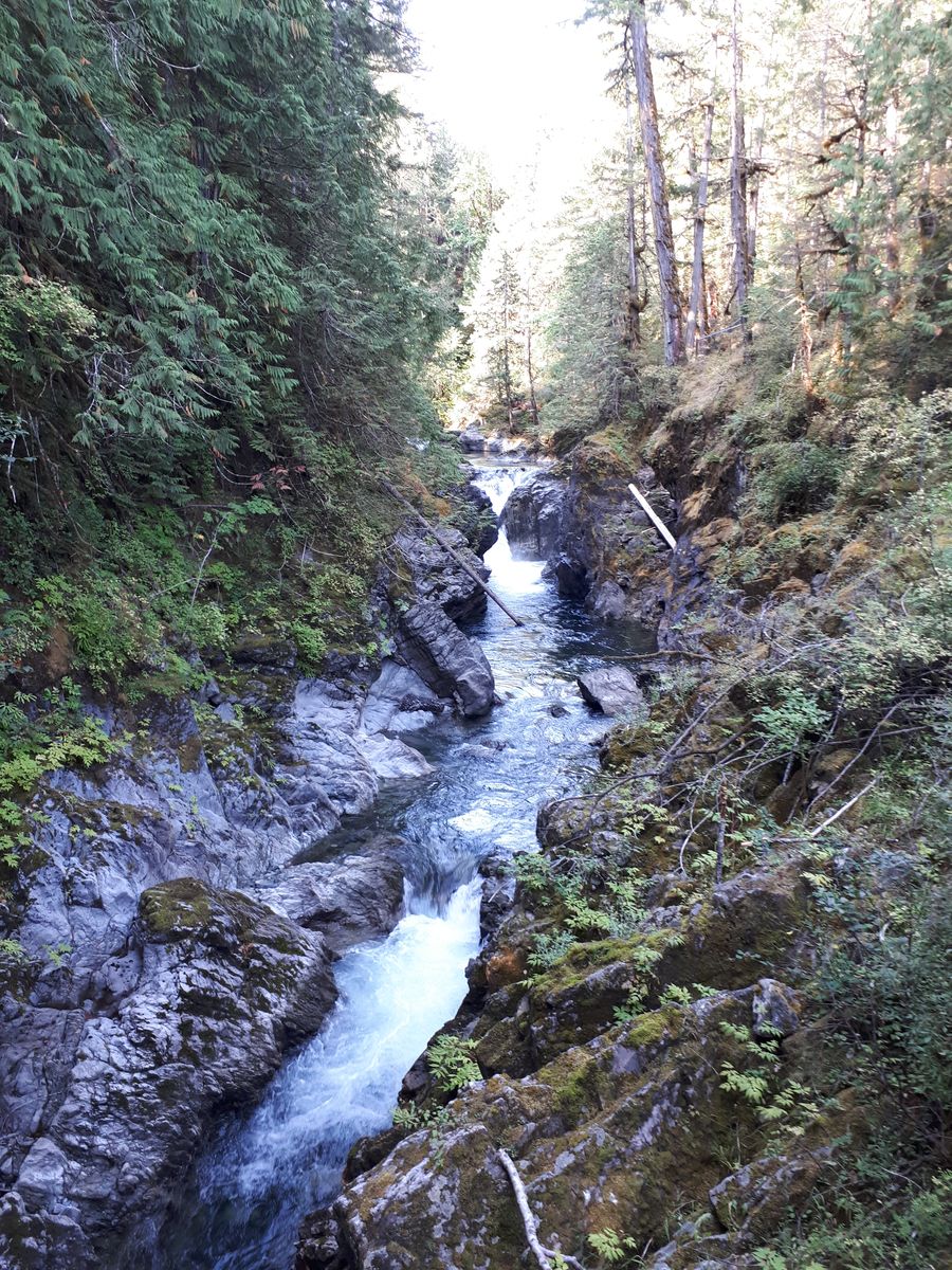 20190903_103954.jpg