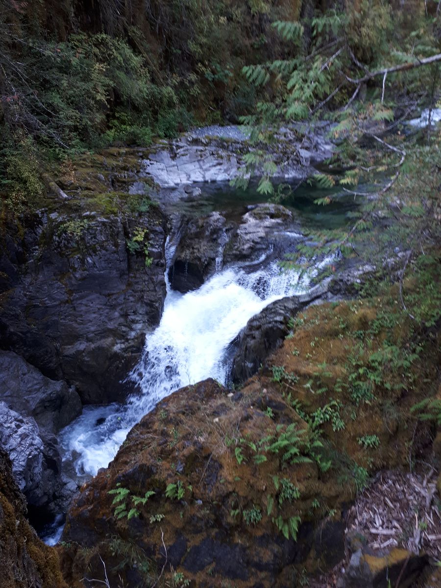 20190903_104547.jpg