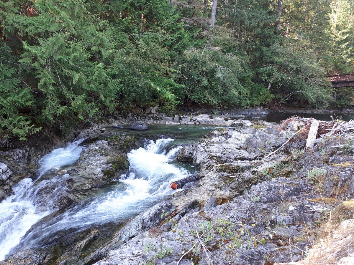 20190903_105457.jpg
