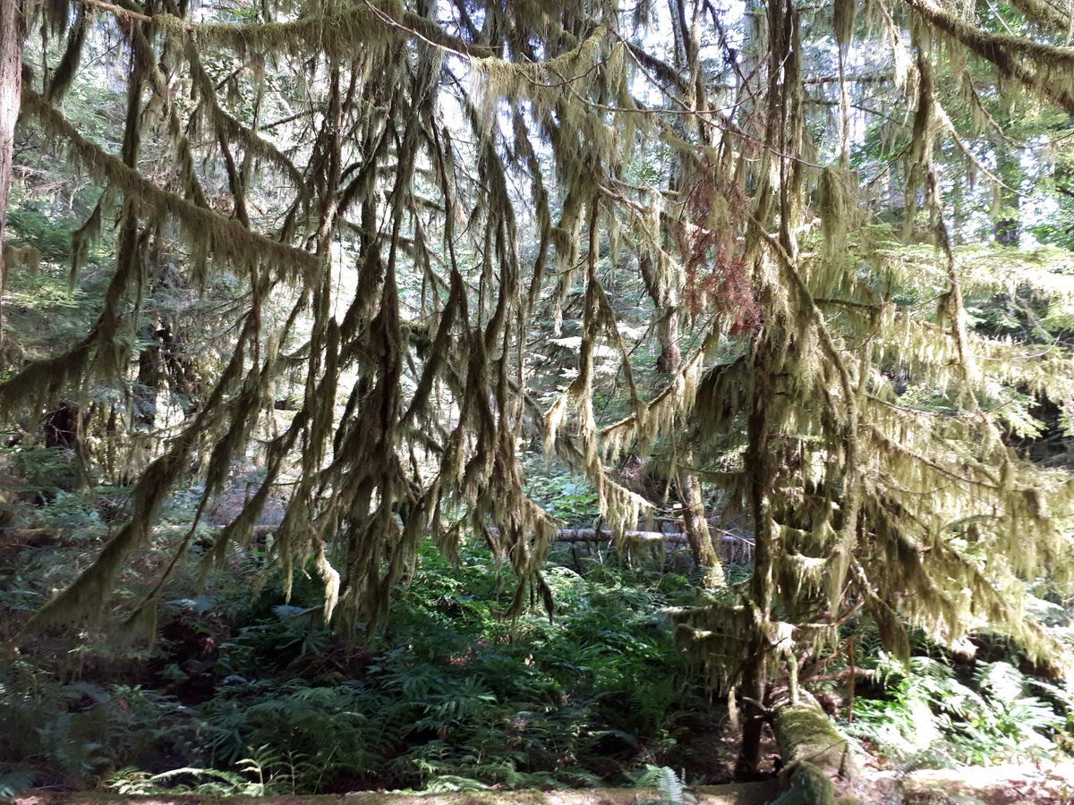 20190903_120345.jpg