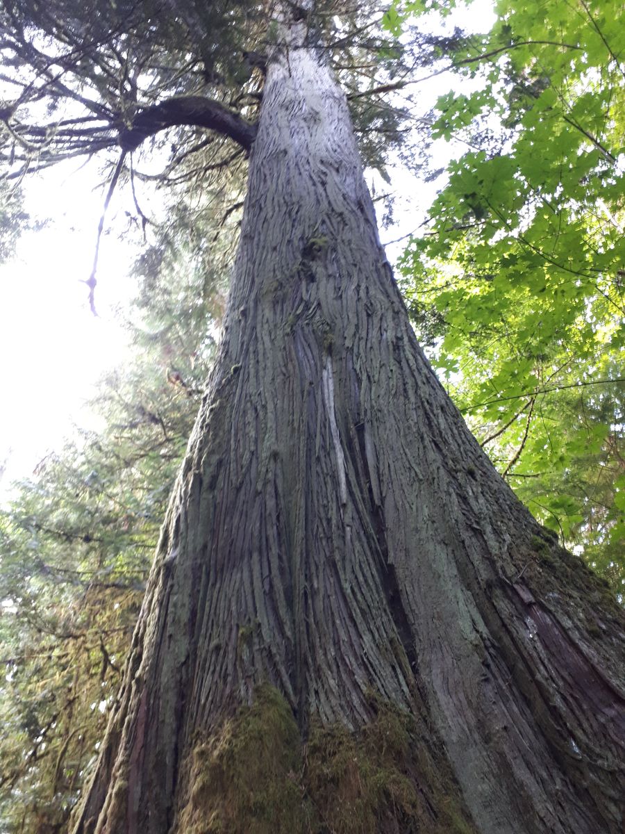 20190903_124234.jpg