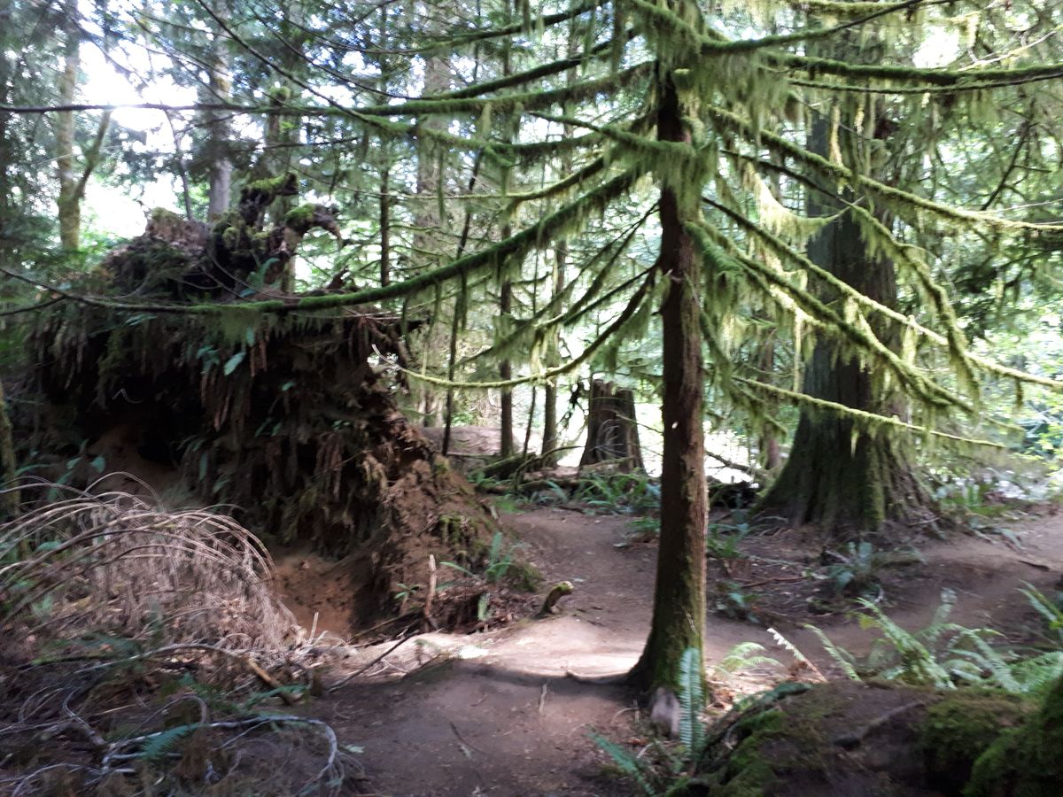 20190903_124256.jpg