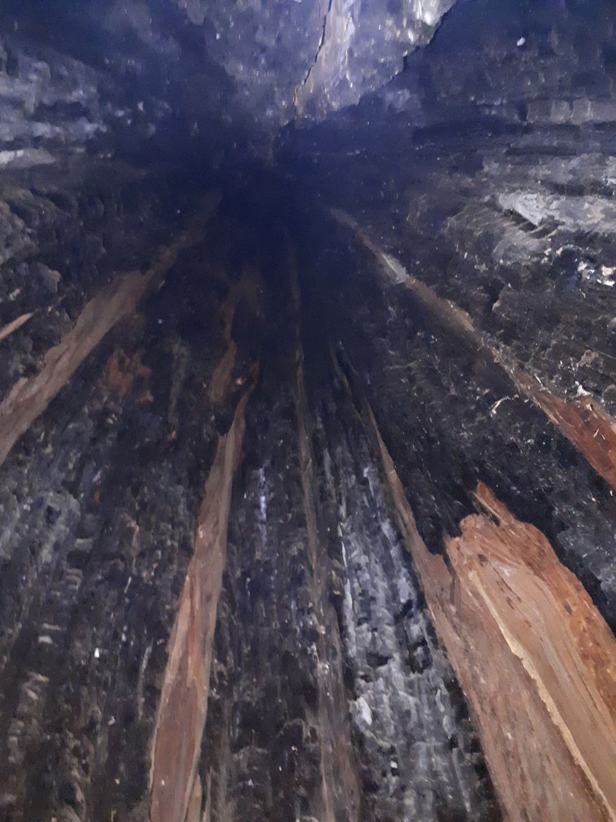 20190903_124849.jpg