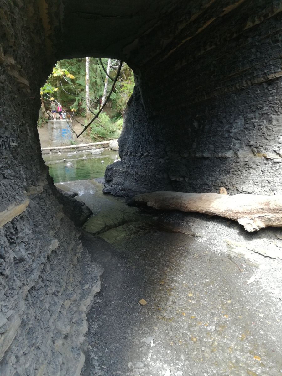 20190903_133745.jpg